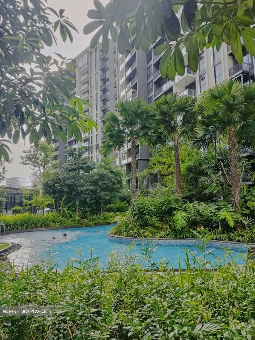 Park Colonial (D13), Condominium #540886491